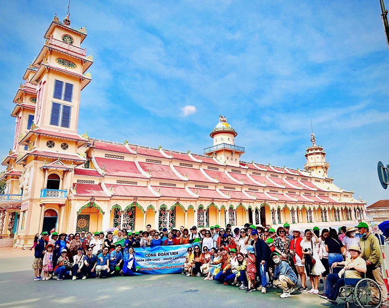 cá cược thể thao hul city